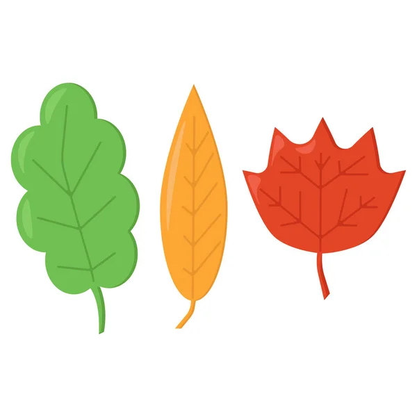 Set Three Simple Leaves Cartoon Style Autumn Leaves Different Colors — Stock Vector