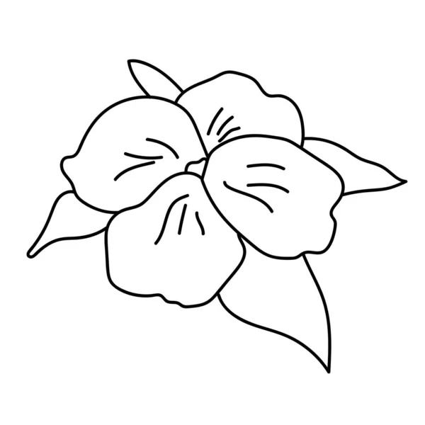 Prosty Zarys Kwiat Czterema Płatkami Liśćmi Motyw Botaniczny Dla Ilustracji — Wektor stockowy