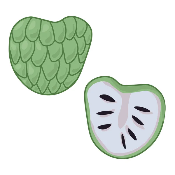 Плоды Анноны Цельные Наполовину Зеленые Тропические Фрукты Темными Маленькими Семенами — стоковый вектор