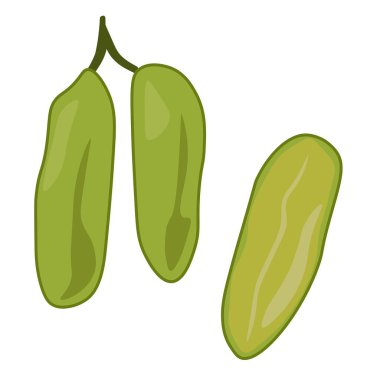 Bilibi bütün ve meyve kesme, sulu salatalık meyve ağacı illüstrasyon