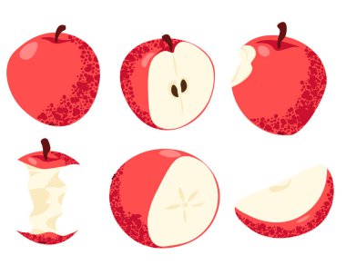 Tam meyve, yarım dilimler, dilimler ve tasarım için bir çekirdek içeren kırmızı elma çizimleri.
