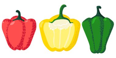 Kırmızı, sarı ve yeşil biberleri de içeren renkli çan biberi çizimleri. Tasarım için dokulu detaylara sahip izole sebze simgeleri