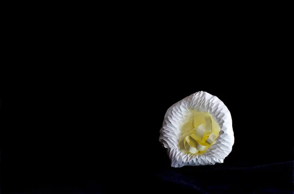 Fotografia de vida morta por pequeno chalé e flor — Fotografia de Stock