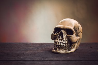 Ahşap arka plan üzerinde insan kafatası ile natürmort fotoğraf.