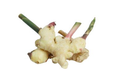 Havlıcan izole beyaz arka plan üzerinde