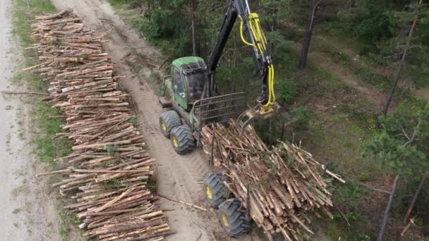 Tiro aéreo, deforestación para producción industrial, carga mecánica de madera aserrada — Vídeos de Stock