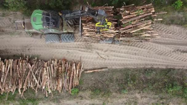 Vista aérea, deforestación para la producción industrial, carga mecánica de la pinza madera aserrada — Vídeos de Stock