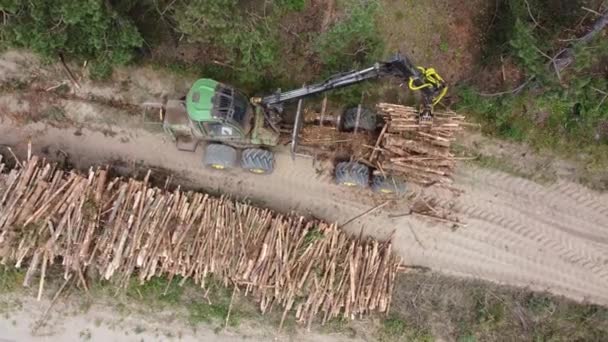 Vista aérea, deforestación para la producción industrial, carga mecánica de la pinza madera aserrada — Vídeos de Stock