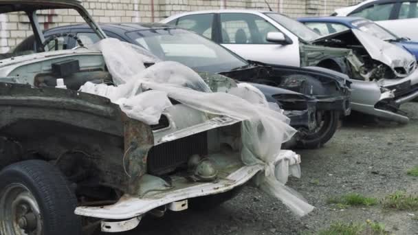 Közelkép a roncstelepen álló autókról. Régi, összetört, rozsdás autók halmozódtak fel egy szabadtéri szeméttelepen, várva a hulladéklerakót.. — Stock videók