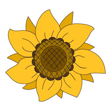 Düz çizgili çekirdekli ayçiçeği