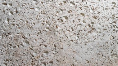 Bu hafif bir kireçtaşı levha ve kabuk izleri var. Kabuk kaya dokusu. Doğal taş arkaplan