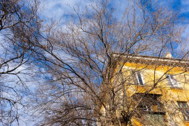 Sonbaharda ağaçların çıplak dalları ve mavi gökyüzüne karşı sarı büyük bir evin bir kısmı..