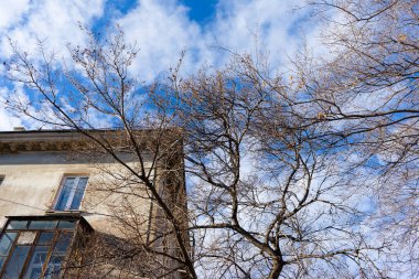 Sonbaharda ağaçların çıplak dalları ve mavi gökyüzüne karşı sarı büyük bir evin bir kısmı..