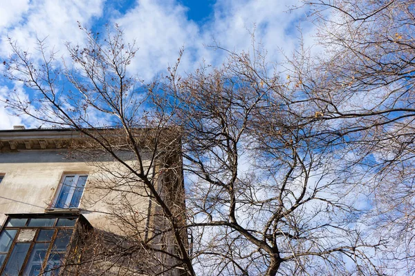 Sonbaharda ağaçların çıplak dalları ve mavi gökyüzüne karşı sarı büyük bir evin bir kısmı..