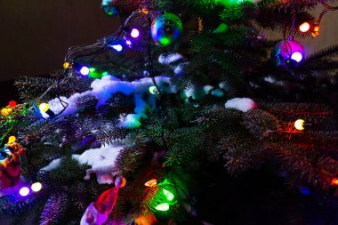 Kış doğası, Noel arkaplanı, donmuş ladin, parıltılı ışıklar. Buzlu çam dalından bak.