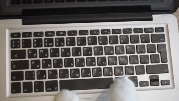 Gato Está Escribiendo Teclado Portátil Gato Envía Mensaje Gato Inteligente — Vídeos de Stock