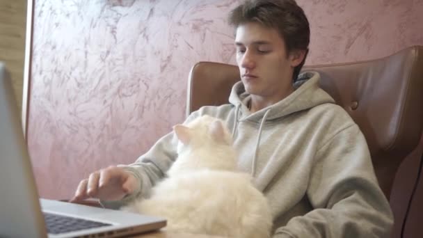 Jovem Comunica Mensageiro Laptop Tipo Com Gato Olha Para Ecrã — Vídeo de Stock