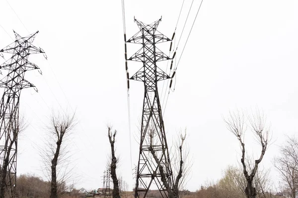 Elektryczny Słup Miejski Szarym Niebem Gołymi Gałęziami Drzew Biegun Wysokiego — Zdjęcie stockowe