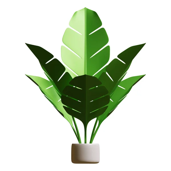 Summer Banana Leaf Plant Renderelés Illusztráció Alkalmas Nyári Turisztikai Nyaralás — Stock Fotó