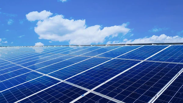 Çatıya kurulmuş güneş panelleri, elektrik ve çevremizi korumak için güvercin grupları tarafından kirletiliyor, yeşil güç kavramı.