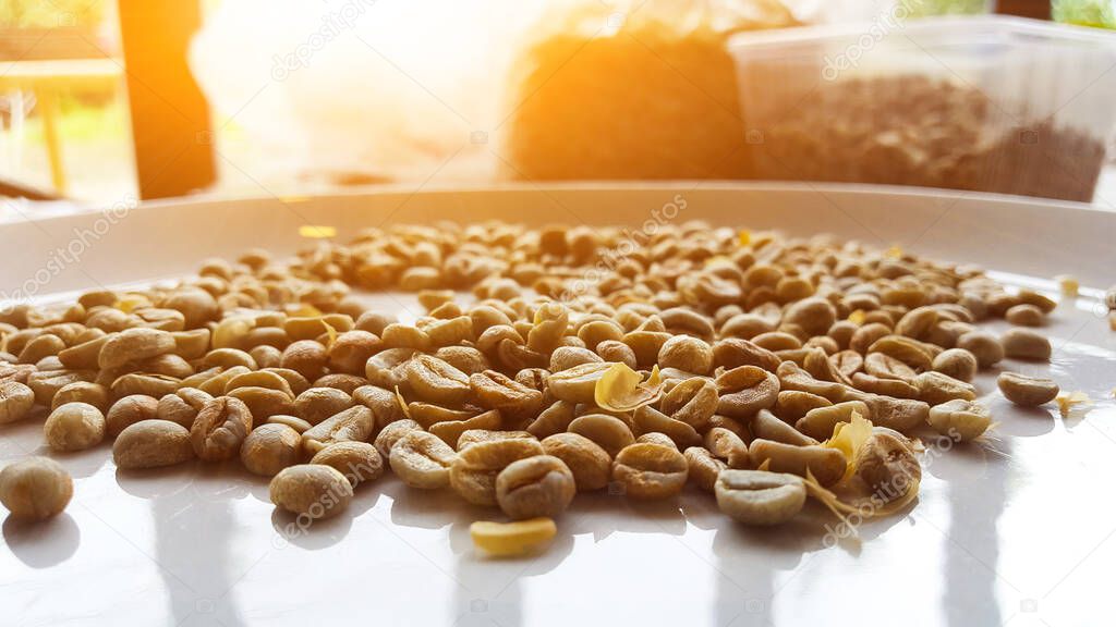 Brown raw coffee seeds in the white dish with the reflection of the windows and the sunlight shining background