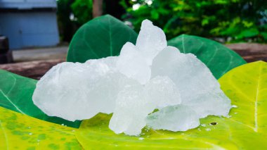 Ağaç yaprakları üzerindeki alüminyum. Vücut deodorantı kavramı