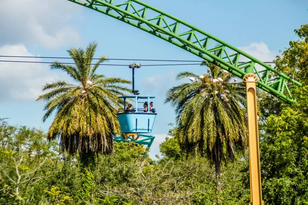 Busch Gardens, Tampa, Florida, ABD 'de yürürken