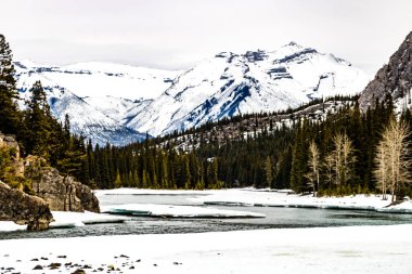 Kışın şelaleden gelen Bow Nehri. Banff Ulusal Parkı, Alberta, Kanada