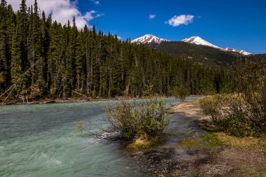 Coleman Deresi arka ülke boyunca başıboş dolaşıyor. Banff Ulusal Parkı, Alberta, Kanada