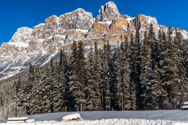 Castle Mountain Range 'den Castle Junction' a kadar. Banff Ulusal Parkı, Alberta, Kanada