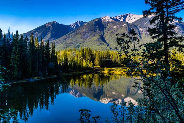 Nyáron Bow Folyó Mentén Banff Nemzeti Park Alberta Kanada — Stock Fotó