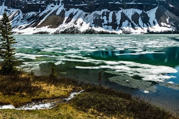 Lago Bow Início Primavera Com Algum Gelo Ainda Lago Banff — Fotografia de Stock