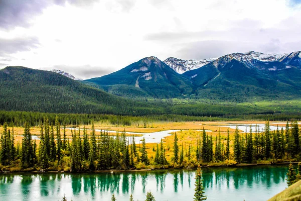 Bow nehri sonbahar renklerinin altında. Banff Ulusal Parkı, Alberta, Kanada