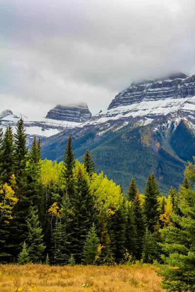 Őszi Színekben Pompáznak Bow Valley Parkway Mentén Banff Nemzeti Park — Stock Fotó