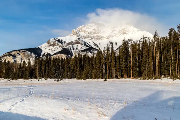 Góra Kaskadowa Jeziora Minnewanka Loop Park Narodowy Banff Alberta Kanada — Zdjęcie stockowe