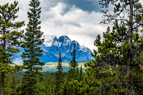 Fall Colours Abound Icefields Parkway Banff National Park Alberta Canada — Stock Photo, Image