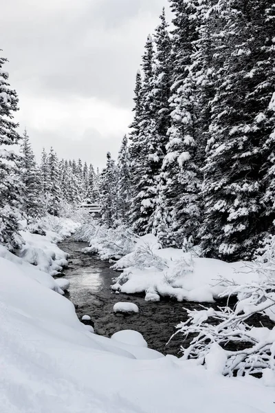 Lake Louise Est Pays Des Merveilles Hivernales Parc National Banff — Photo