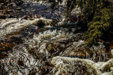 Geyik Kolu Nehri 'nin azgın suları. Gros Morne Ulusal Parkı, Newfoundland, Kanada