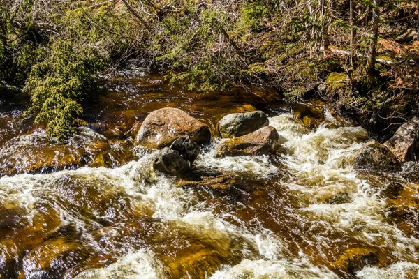 Das Reißende Wasser Des Deer Arm River Gros Morne Nationalpark — Stockfoto