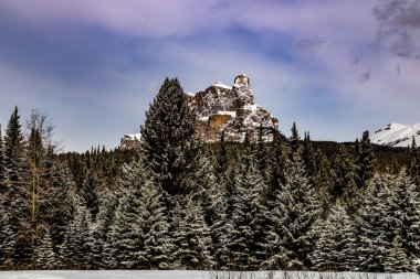 Winter settlers over Moose Meadows. Banff National Park, Alberta, Canada