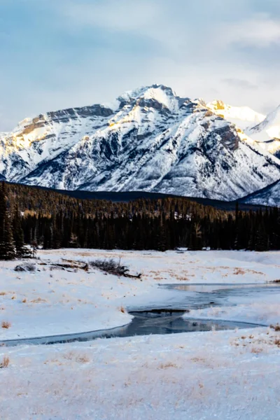 Arroyo Que Fluye Cordillera Paliser Valle Parque Nacional Banff Alberta —  Fotos de Stock
