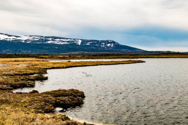 Göle giden patikayı görüyor. Gros Morne Ulusal Parkı, Newfoundland, Kanada