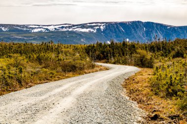 Göle giden patikayı görüyor. Gros Morne Ulusal Parkı, Newfoundland, Kanada