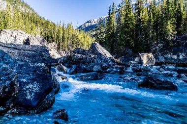 Yoho ve Kickinh Atı nehirlerinin birleşimi. Yoho Ulusal Parkı. British Columbia, Kanada.