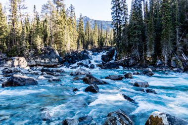 Yoho ve Kickinh Atı nehirlerinin birleşimi. Yoho Ulusal Parkı. British Columbia, Kanada.