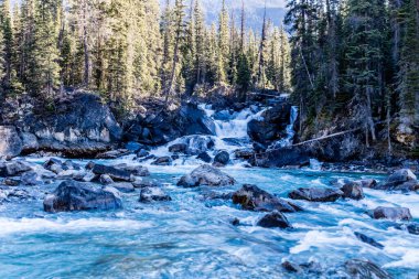 Yoho ve Kickinh Atı nehirlerinin birleşimi. Yoho Ulusal Parkı. British Columbia, Kanada.