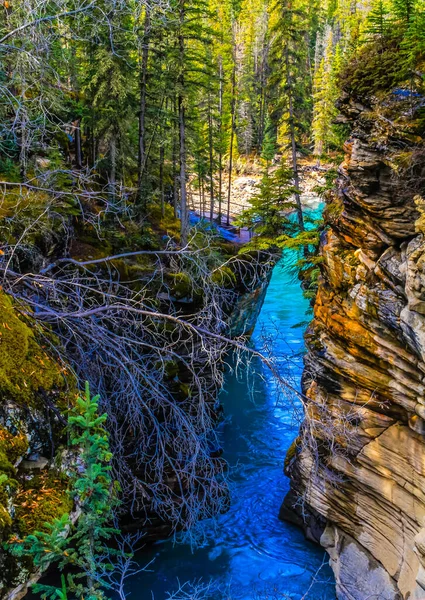 Athabaska Falls Jasper National Park Alberta Canadá — Foto de Stock
