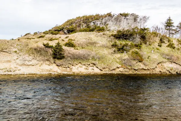 Rivière Brooke Ouest Parc National Gros Morne Terre Neuve Canada — Photo