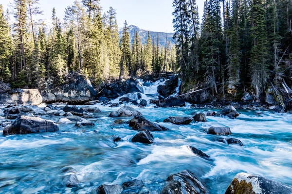 Yoho ve Kickinh Atı nehirlerinin birleşimi. Yoho Ulusal Parkı. British Columbia, Kanada.