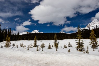 Dağların yol kenarı manzarası. Peter Lougheed İl Parkı, Alberta, Kanada